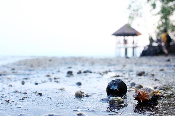 หาดทรายดำ