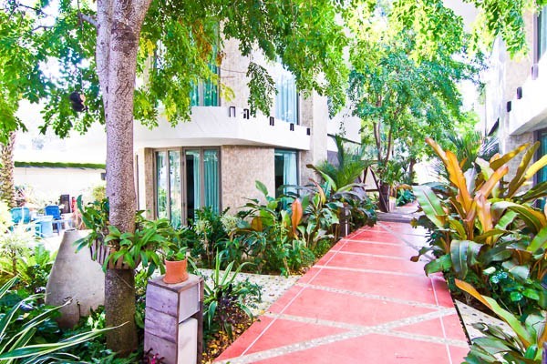 Papa_Monkey_Resort