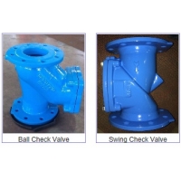 Check Valve