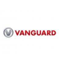 Vanguard ElectronicCo., Ltd.