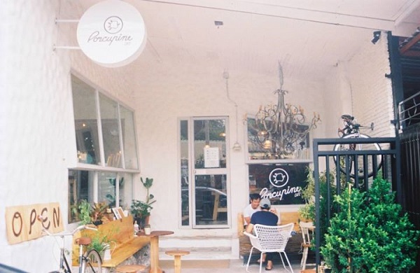 ร้าน Porcupine Cafe Coffee
