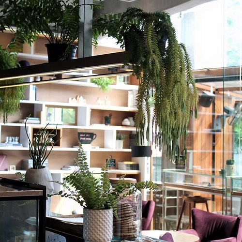 ร้าน Storyline Bangkok