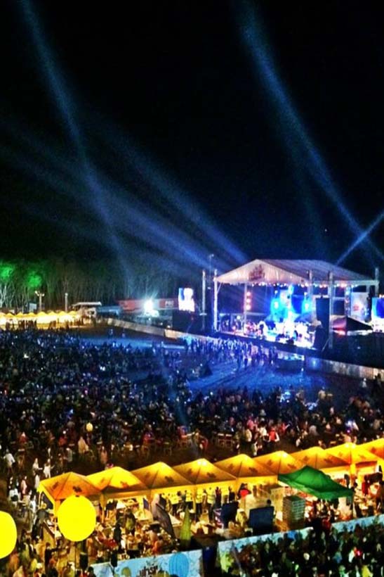 Farm Festival On The Hill - เชียงราย