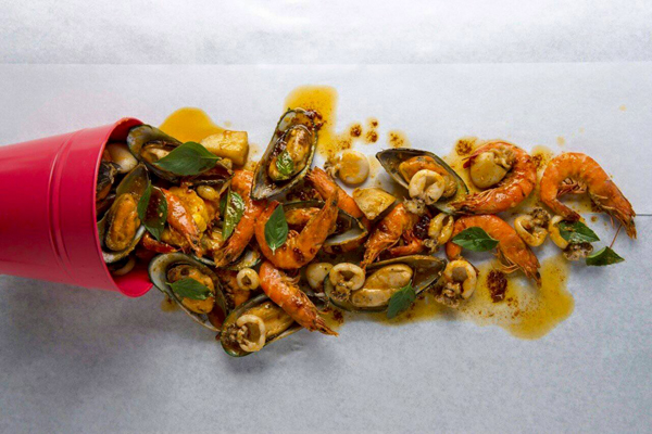 The Shrimp Lover
