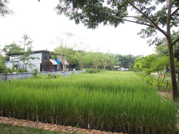 AoTearoa farm & resort จังหวัดราชบุรี