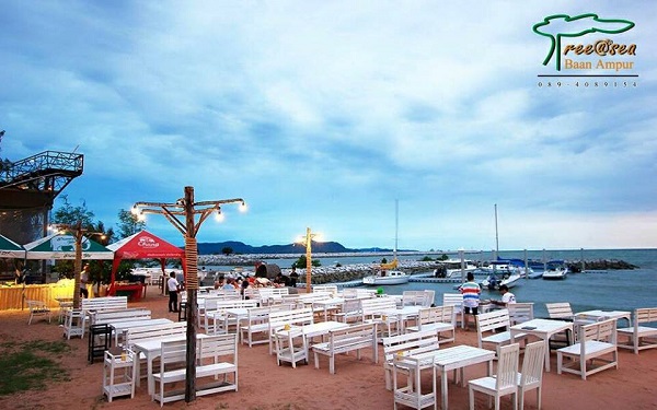 ทรี แอท ซี (Tree At Sea)