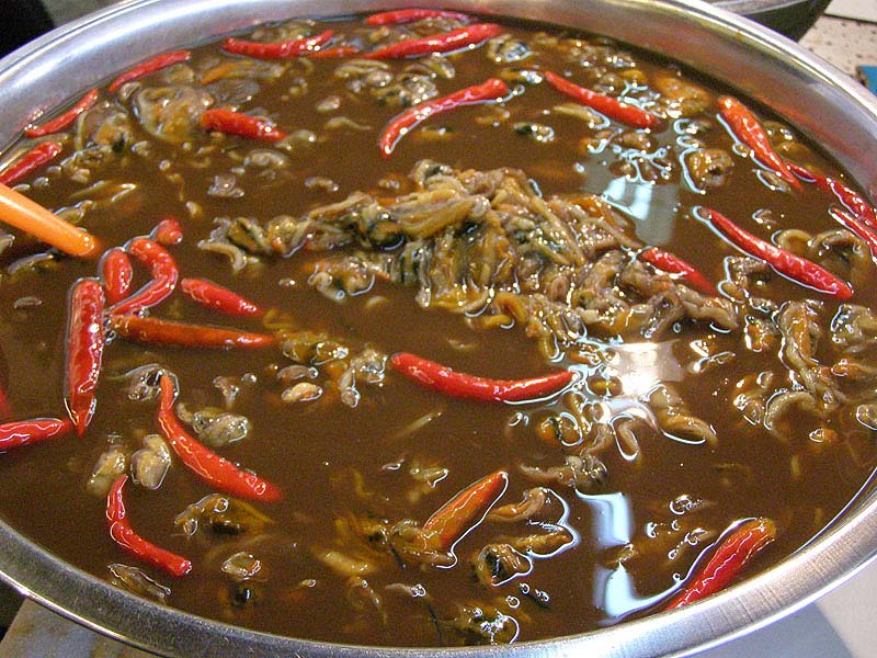 หอยดอง