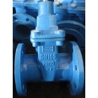 Non Rising Stem Resilient Seated Ductile Iron Gate Valve BS5163/BS5150/DIN3352/EN1171/F4/F5/AWWA