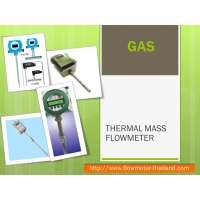 Thermal Mass Flowmeter