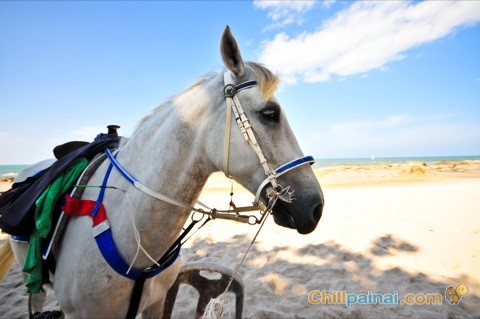 ชายหาดหัวหิน จ.ประจวบคีรีขันธ์