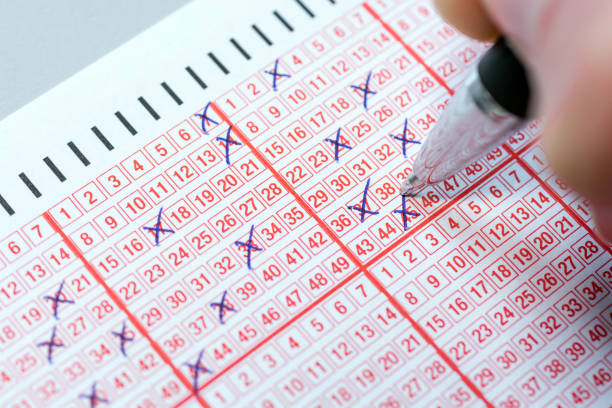 Istockphoto 1010630260 612x612