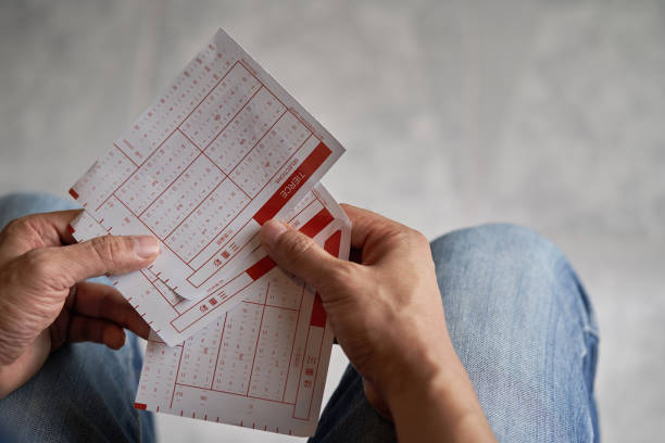 Istockphoto 1017153028 612x612