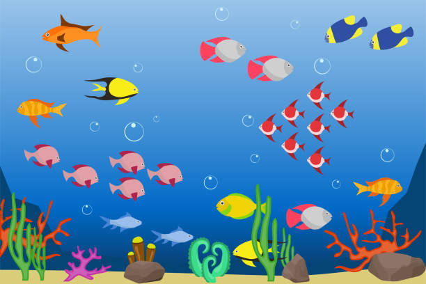 Istockphoto 1067390712 612x612
