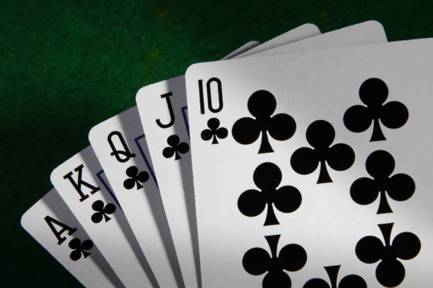Istockphoto 1220548981 612x612