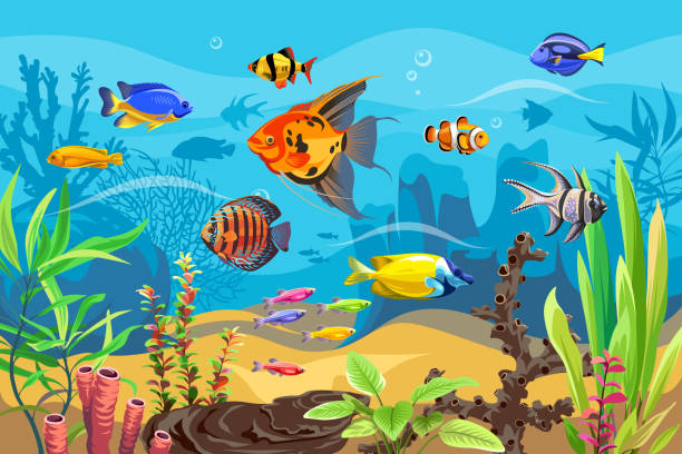 Istockphoto 1406668942 612x612