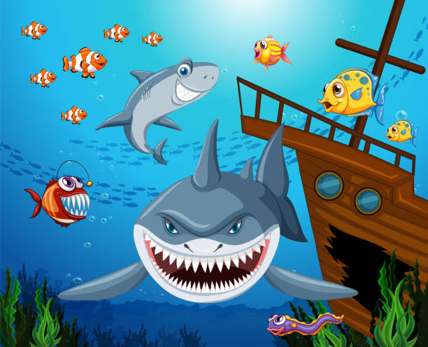 Istockphoto 1423499058 612x612