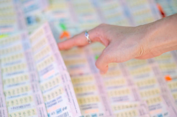 Istockphoto 1454284760 612x612