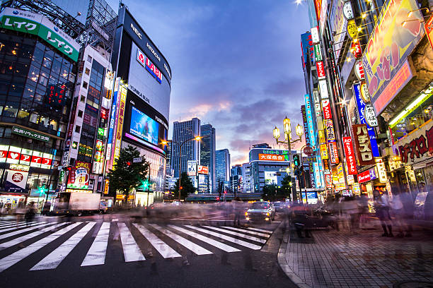 Istockphoto 517154541 612x612