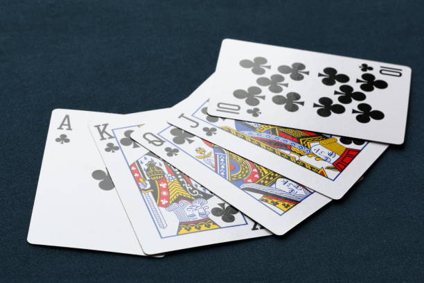 Istockphoto 906356890 612x612