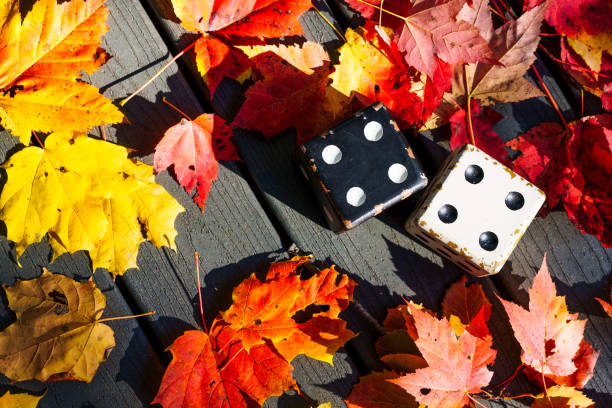 Istockphoto 1218818931 612x612