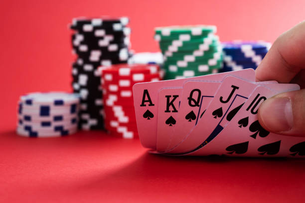 Istockphoto 1369892674 612x612
