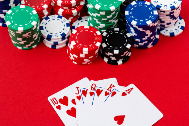 Istockphoto 1369892727 612x612