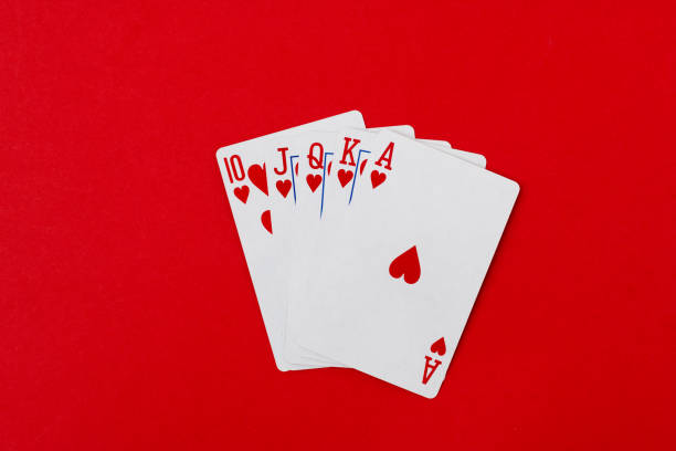 Istockphoto 1369892814 612x612