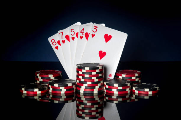 Istockphoto 1461309035 612x612