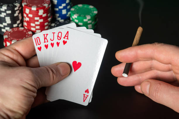 Istockphoto 1482158763 612x612