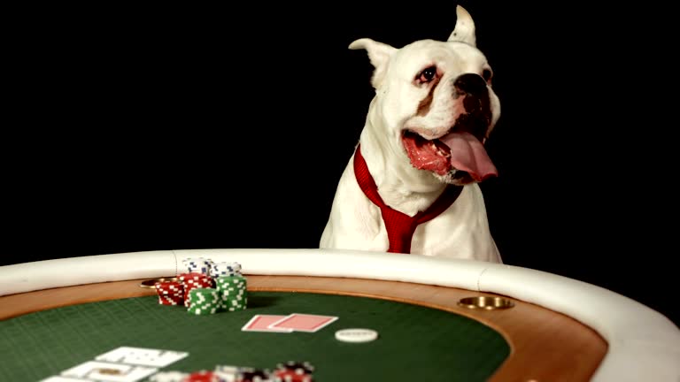 Istockphoto 163958624 640x640