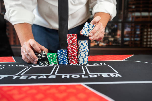 Istockphoto 1804578076 612x612