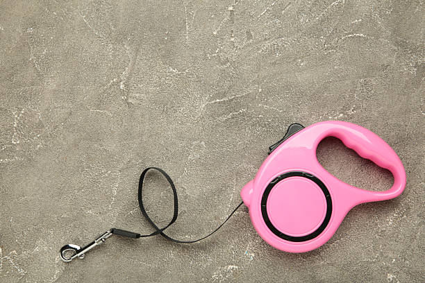 Istockphoto 2212071542 612x612