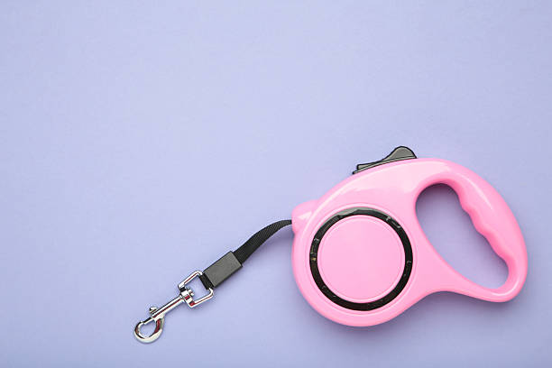 Istockphoto 2213471125 612x612