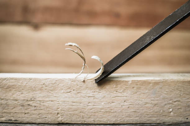 Istockphoto 690532688 612x612