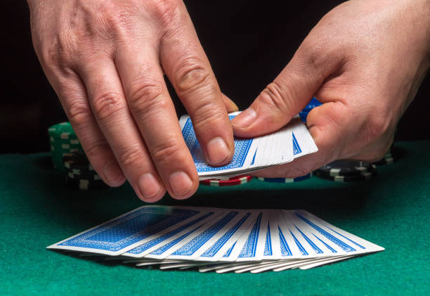 Istockphoto 1456631231 612x612