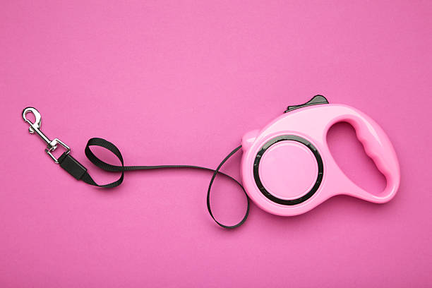 Istockphoto 2212071516 612x612