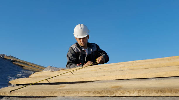 Istockphoto 1065389982 612x612