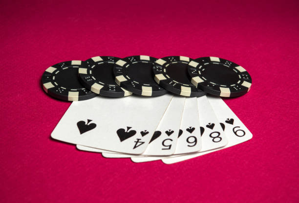 Istockphoto 1464708093 612x612