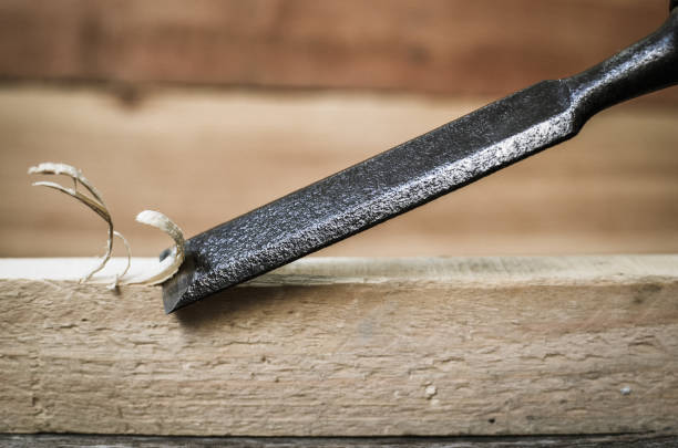 Istockphoto 690532696 612x612