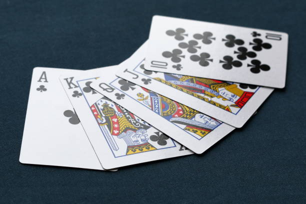 Istockphoto 906337412 612x612