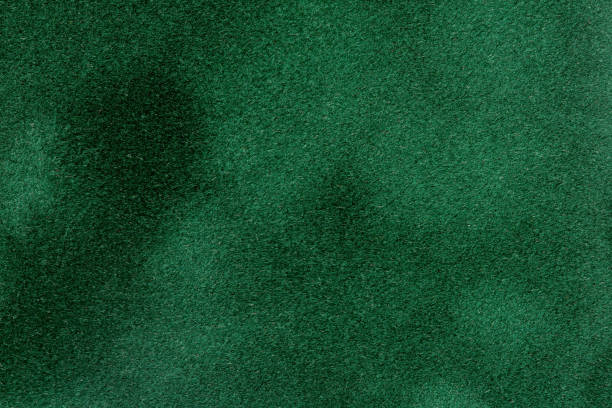 Istockphoto 1125731768 612x612