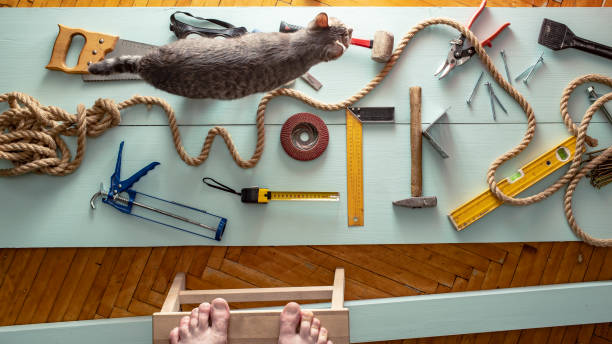Istockphoto 1130354051 612x612
