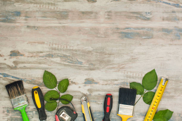 Istockphoto 1256293008 612x612
