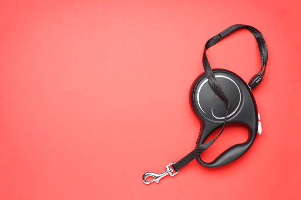 Istockphoto 1345099901 612x612