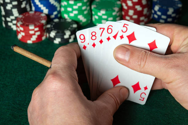 Istockphoto 1431954984 612x612