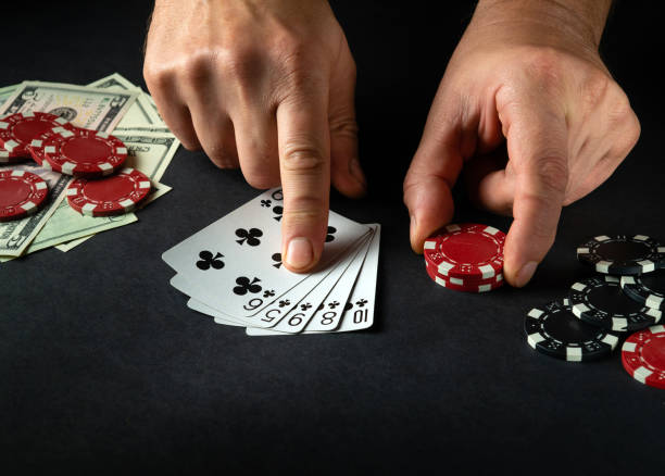 Istockphoto 1489506244 612x612
