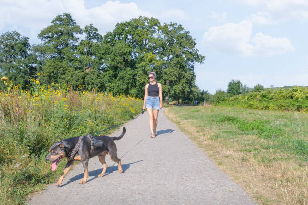Istockphoto 1490468916 612x612