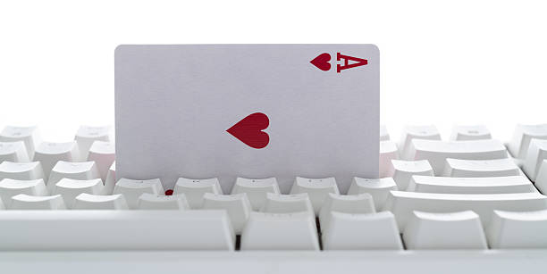 Istockphoto 2211460061 612x612