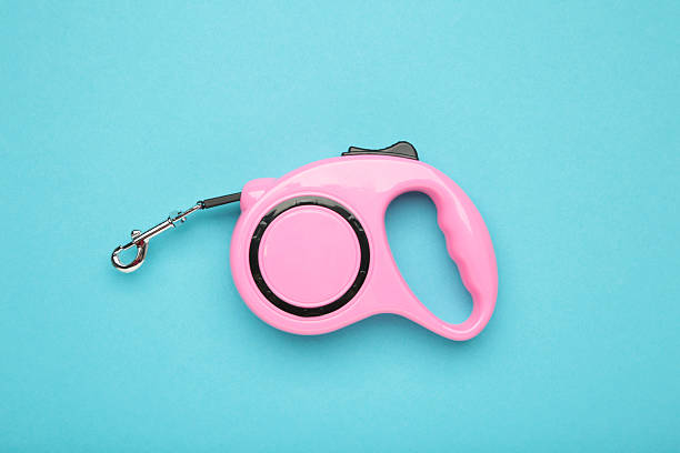 Istockphoto 2214231785 612x612