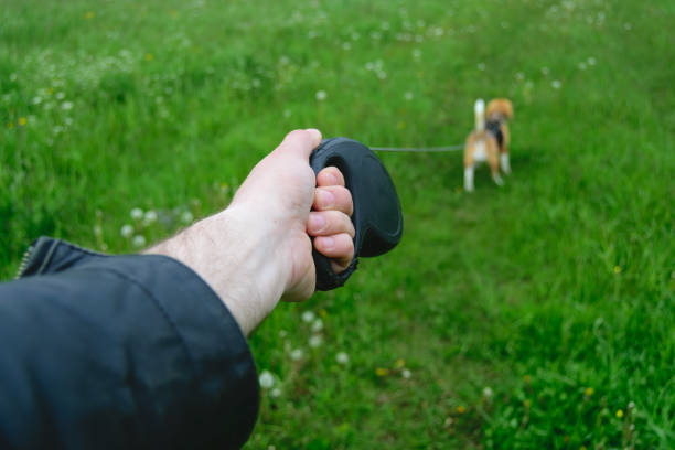 Istockphoto 693496122 612x612